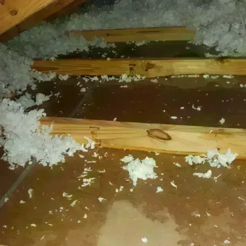 Attic Water Damage in Lincoln County, WY