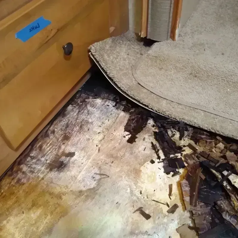 Wood Floor Water Damage in Lincoln County, WY